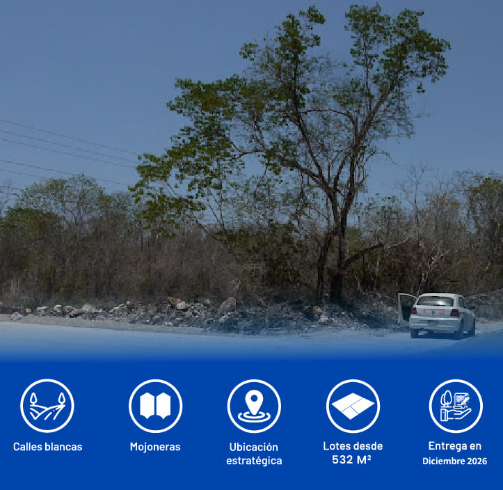 Desarrollo Inmobiliario en Yucatán / Terrenos Semi Urbanizados / Hokal