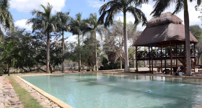 Airbnb - Rancho Campestre en Yucatán - Piscina y Palapa
