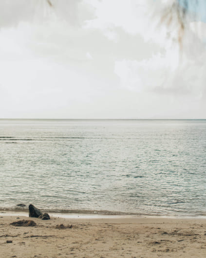 Inmobiliaria Vertere ofrece desarrollos y terrenos en Yucatán